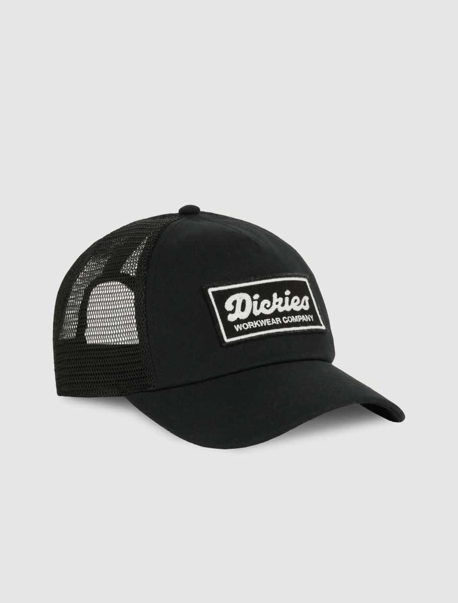 Dickies Hardwick two tone  keps