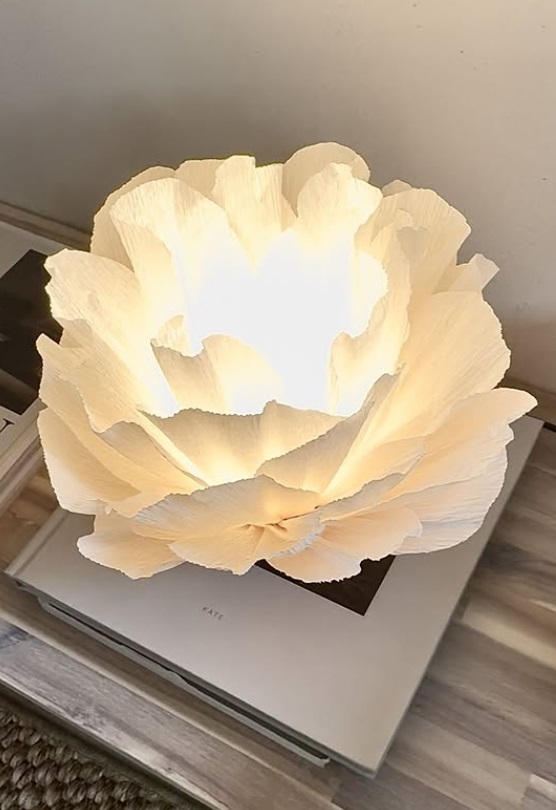 Lisa bordslampa - Papper/Trä - Lampa - Lotus - Vit - 2