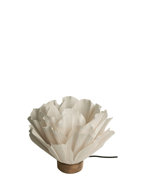 Lisa bordslampa - Papper/Trä - Lampa - Lotus - Vit - 7
