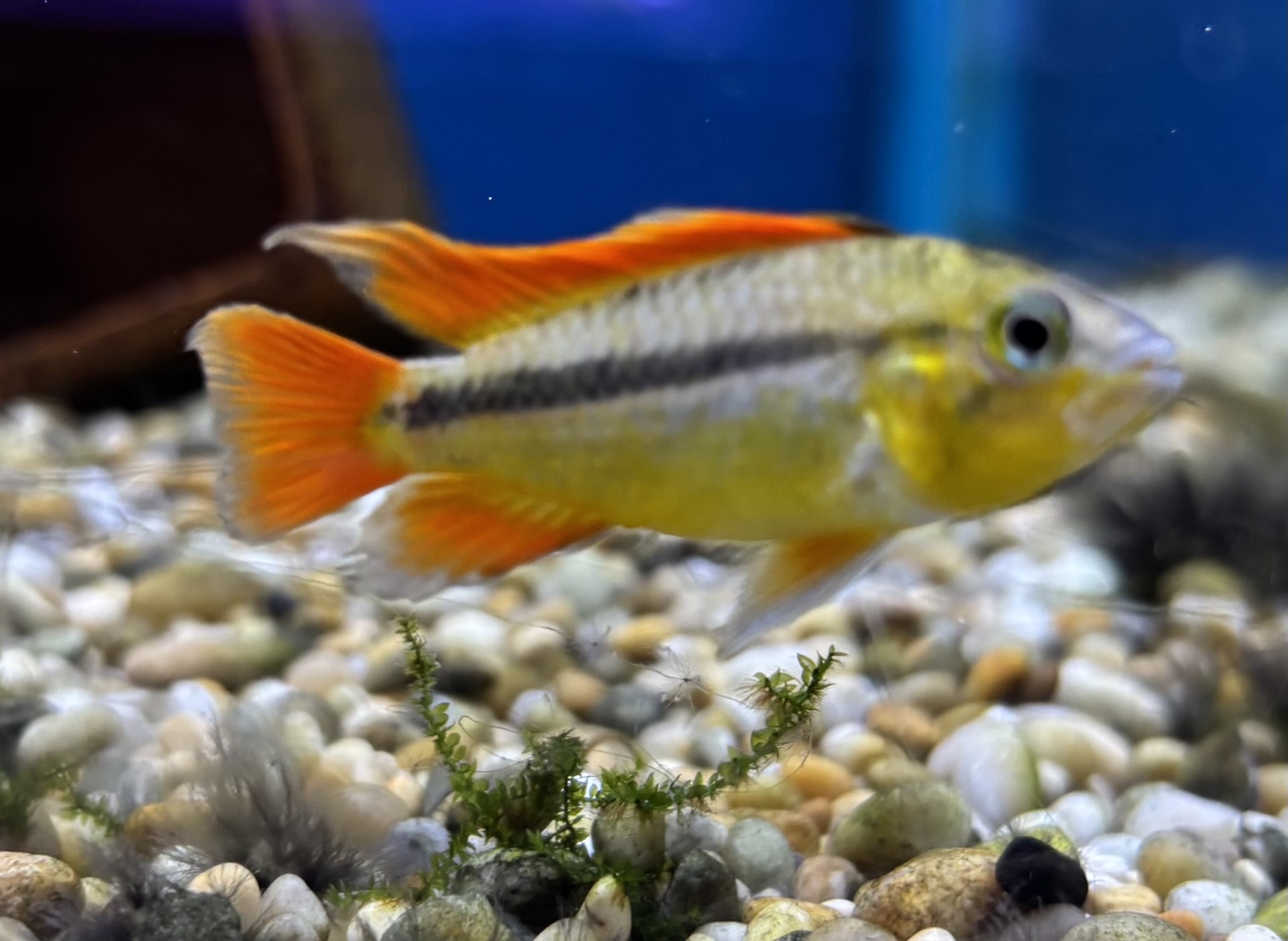 Naruto porno komikslar multfilm