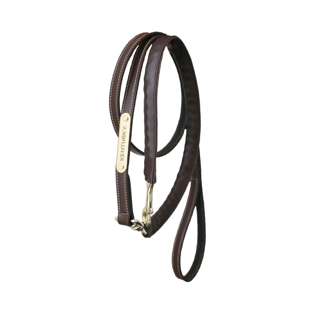 KENTUCKY LEATHER COVERED CHAIN LEAD  - 3