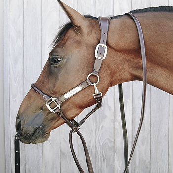 KENTUCKY LEATHER COVERED CHAIN LEAD