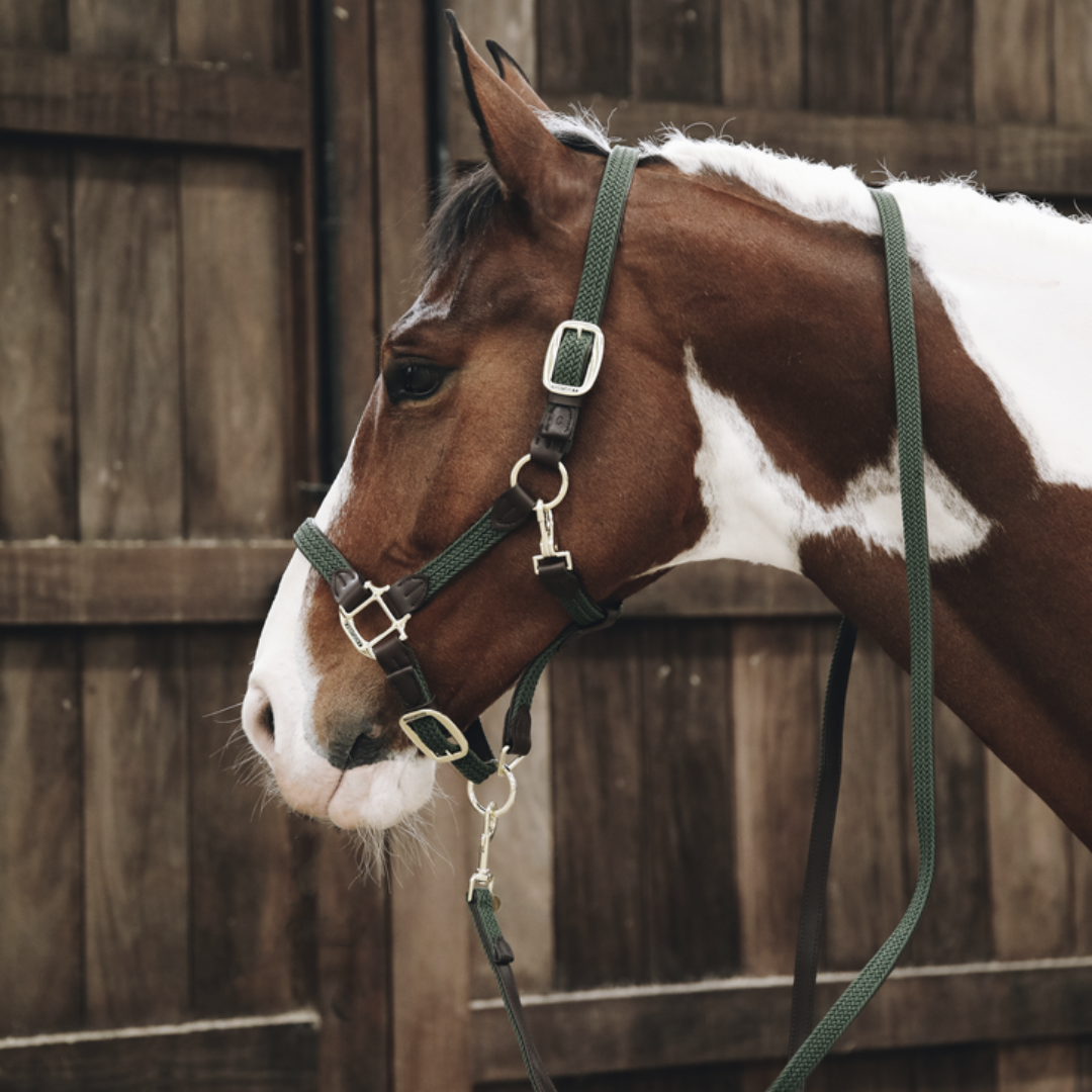 KENTUCKY PLAITED NYLON HALTER - 7