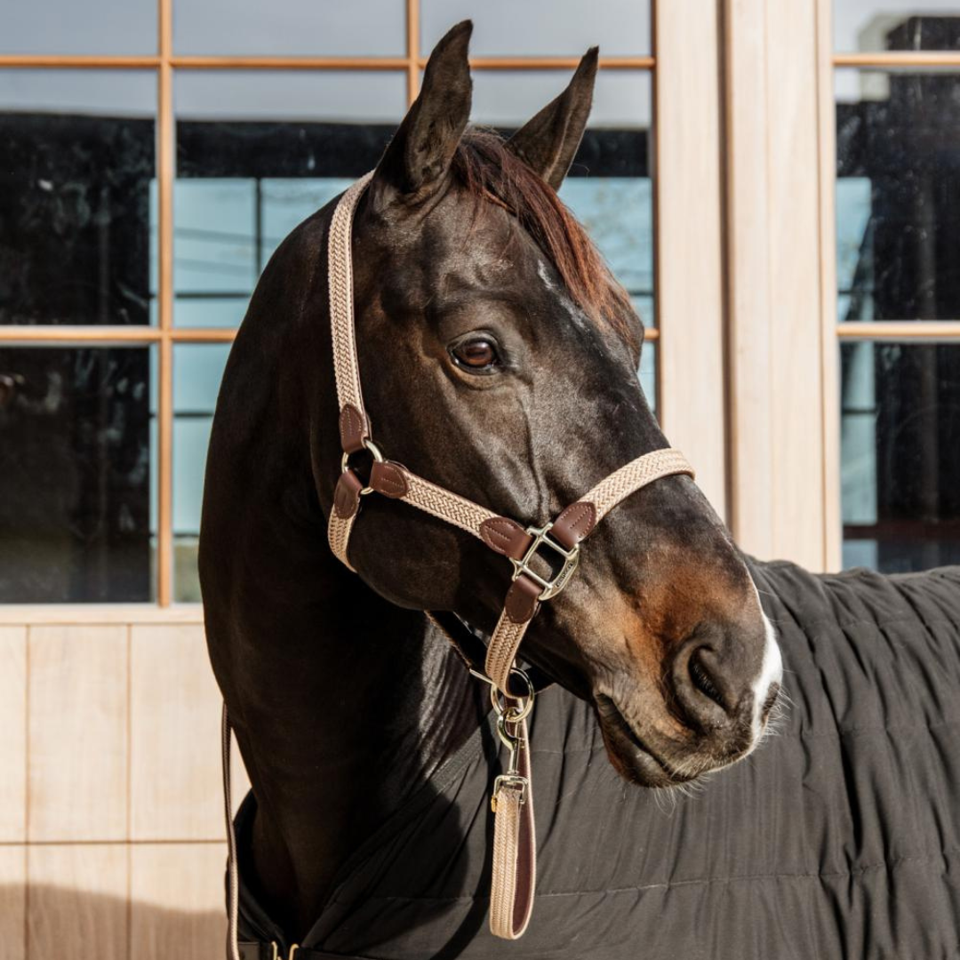 KENTUCKY PLAITED NYLON HALTER - 4