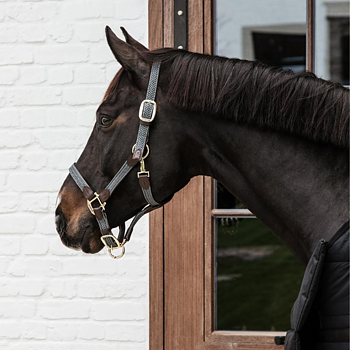 KENTUCKY PLAITED NYLON HALTER