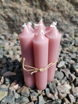 Korta kronljus - Coral 7-pack