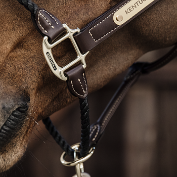 KENTUCKY LEATHER ROPE  HALTER
