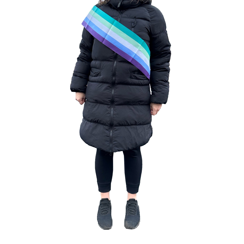Orden des Ordens pride-Farben 14 cm x 1.8m  - 7