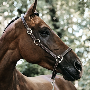 KENTUCKY LEATHER HALTER FLEXIBLE 