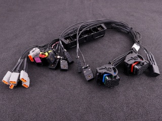 BMW MS42 M52TU Plug and Play kit - MaxxECU  - 5