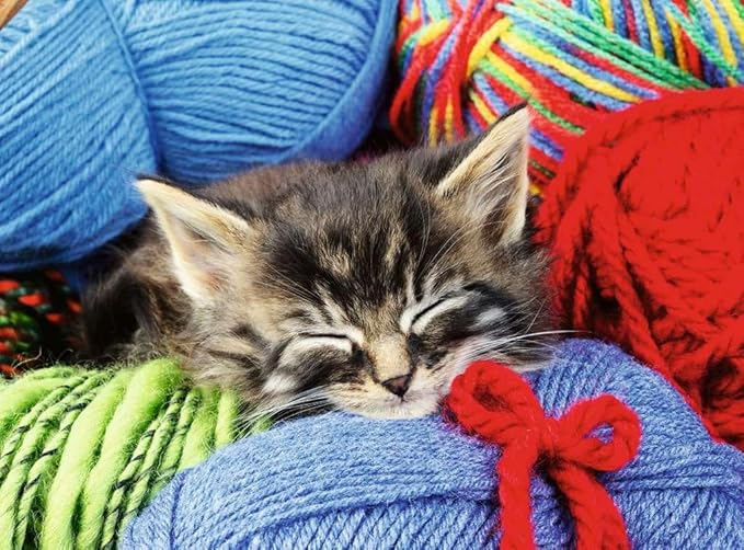 Wool Cat, 100 Bitar XL Ravensburger