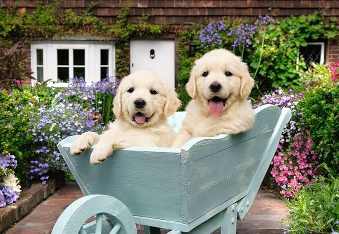 Golden Retriver, 200 Bitar Ravensburger