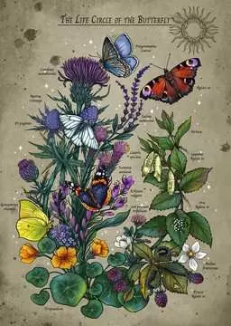 Lifecircle Butterfly, 1000 Bitar Ravensburger