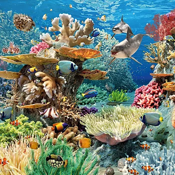 Living Reef, 500 Bitar CherryPazzi