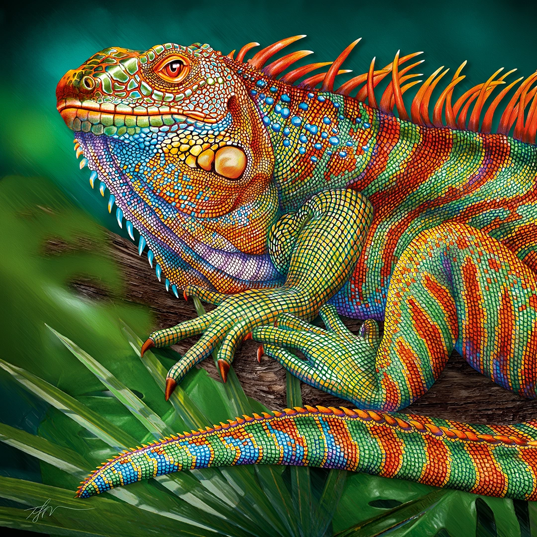 Incredible Iguana, 500 Bitar CherryPazzi