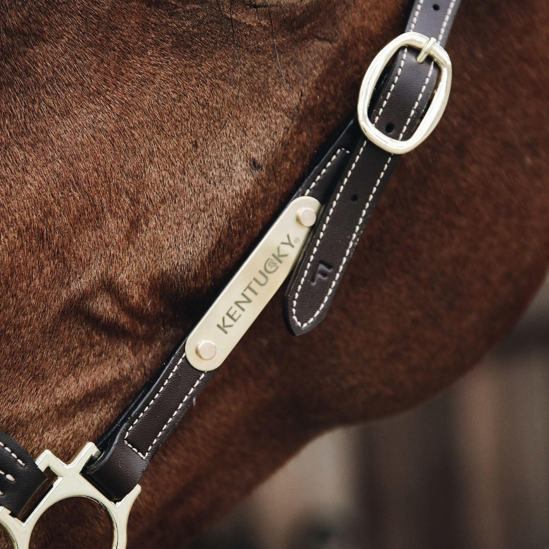 KENTUCKY LEATHER  GROOMING HALTER - 4