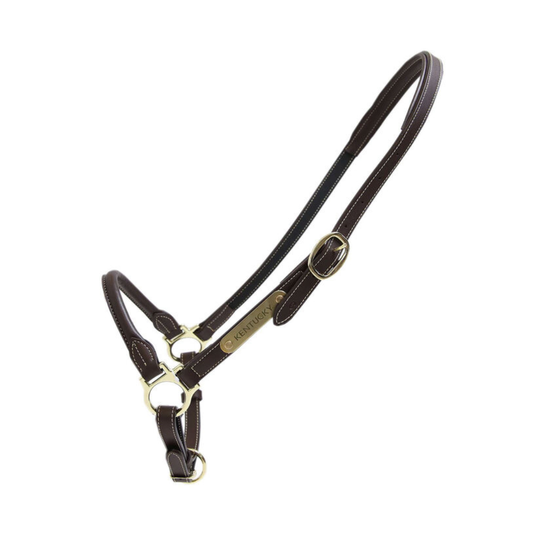 KENTUCKY LEATHER  GROOMING HALTER - 2
