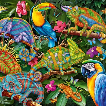 Amazing Chameleons, 2000 Bitar CherryPazzi