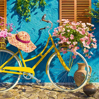 Lemon Bike, 1000 Bitar CherryPazzi