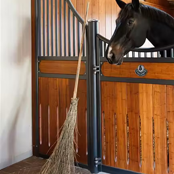 BAMBOO BROOM