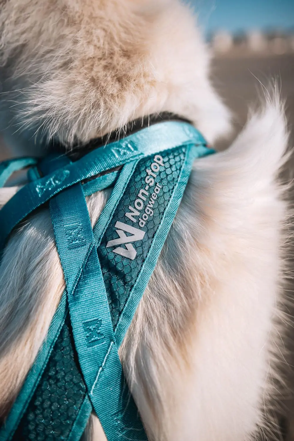 Non-Stop Dogwear Rush Harness Teal - 6
