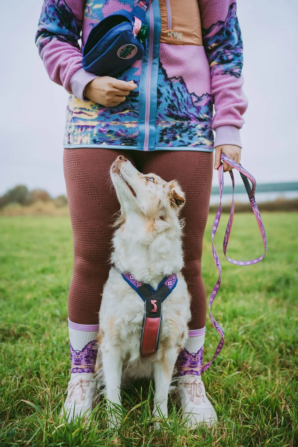 Non-Stop Dogwear Line Harness 5.0 Rachel Pohl Purple/Pink - 9