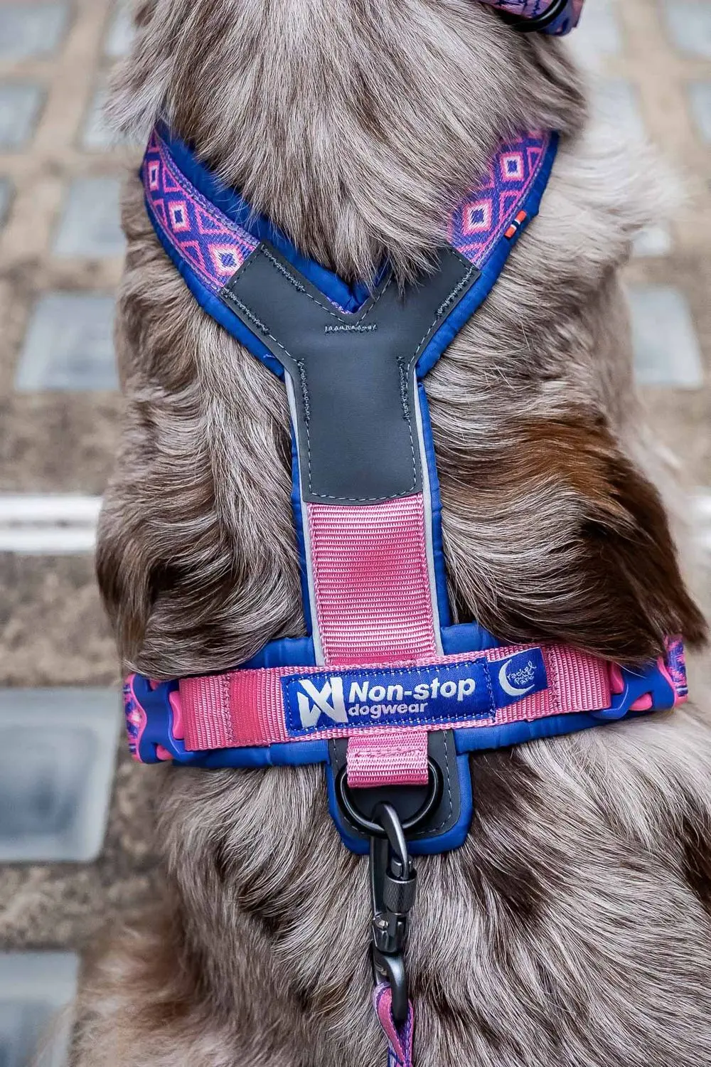 Non-Stop Dogwear Line Harness 5.0 Rachel Pohl Purple/Pink - 10