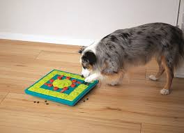 Nina Ottosson Dog Multipuzzle