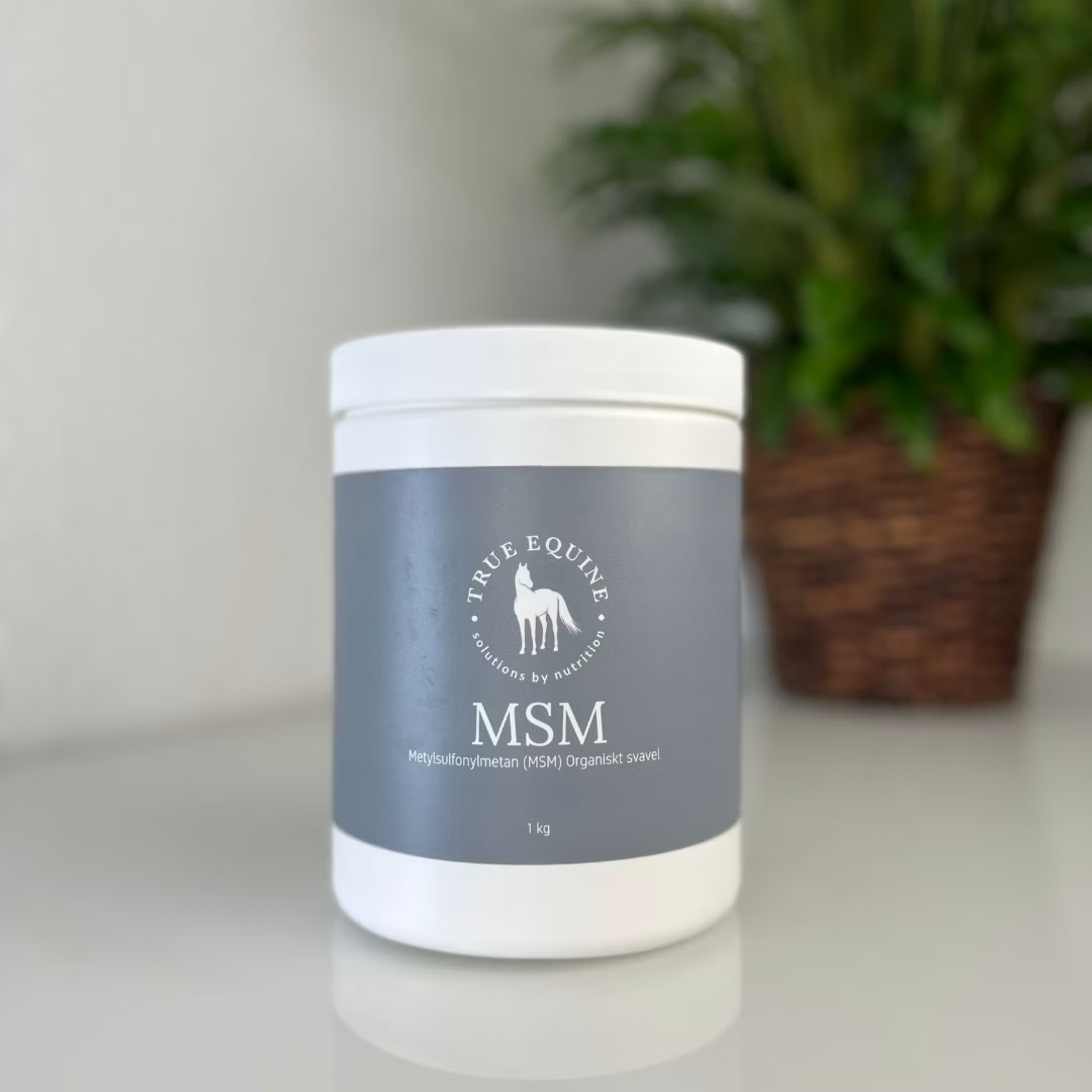 Eqvital - MSM 1KG