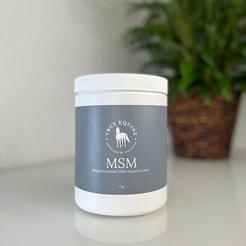 Eqvital - MSM 1KG