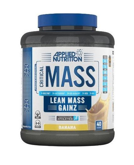 Critical Mass Gainer - 2,4 kg - 2