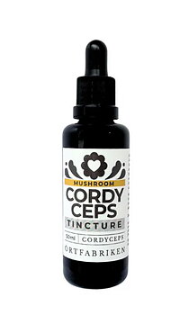 Cordyceps Tinktur 50 ml Örtfabriken