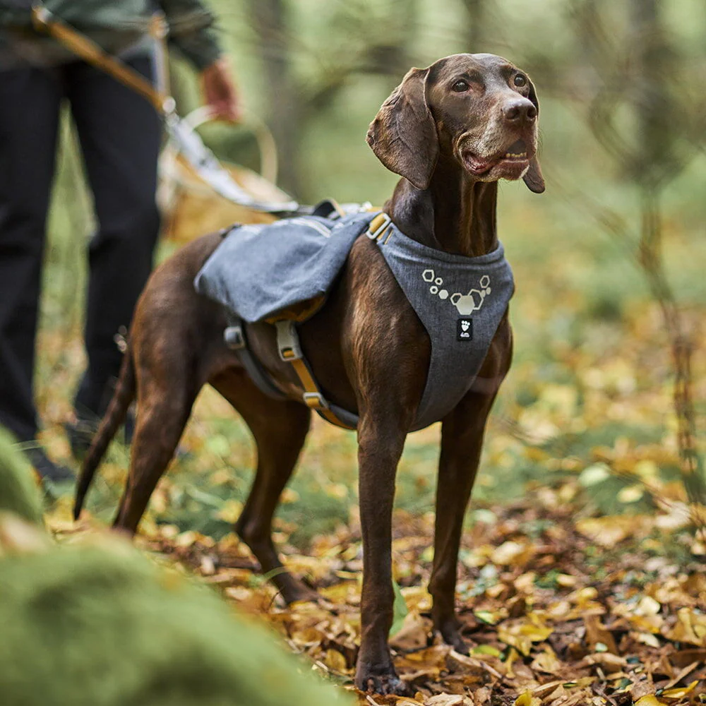 Hurtta Expedition Pack ECO - hundryggsäck st S - 7