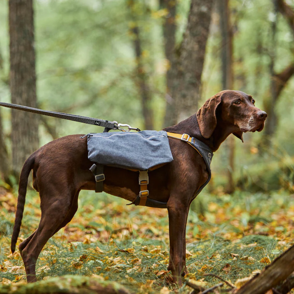 Hurtta Expedition Pack ECO - hundryggsäck st S - 6