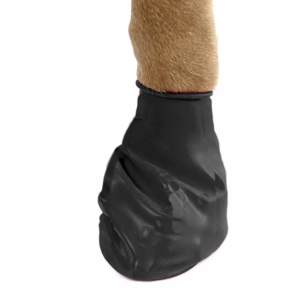 Pawz Hundsko Svart  12-pack - 2