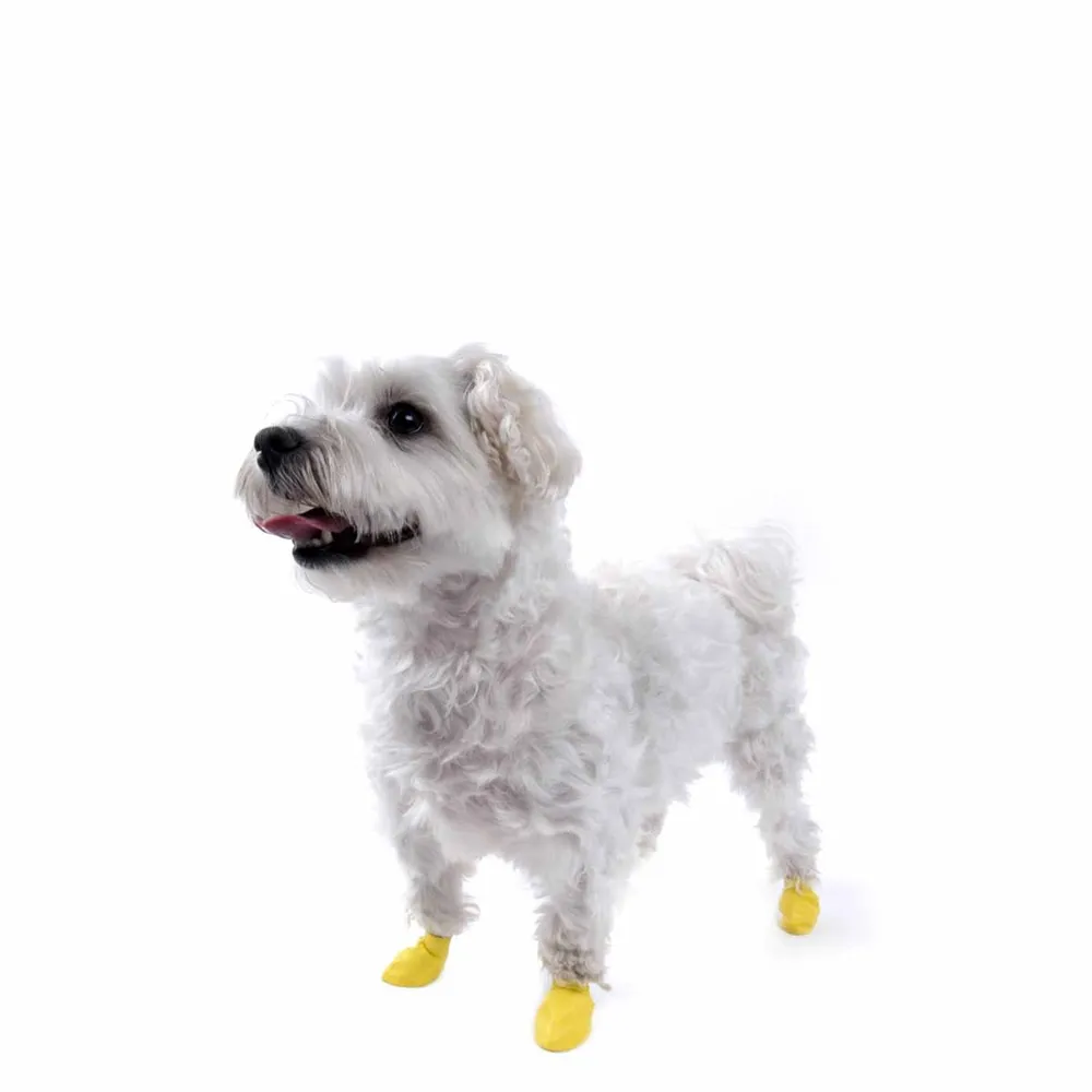Pawz Hundsko XXS Gul 12-pack