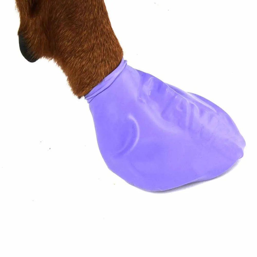Pawz Hundsko L Lila 12-pack - 2