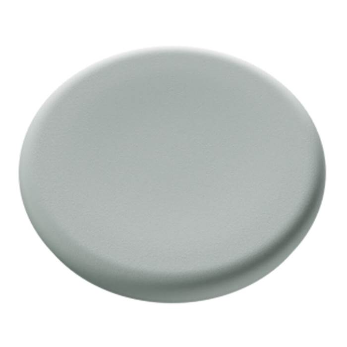 Magnet 30mm glastavla sage 5fp