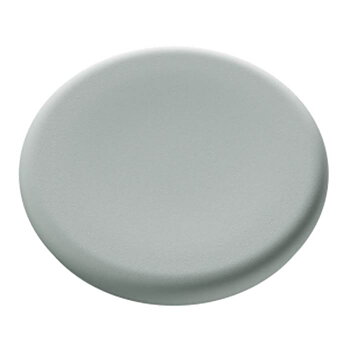 Magnet 30mm glastavla sage 5fp