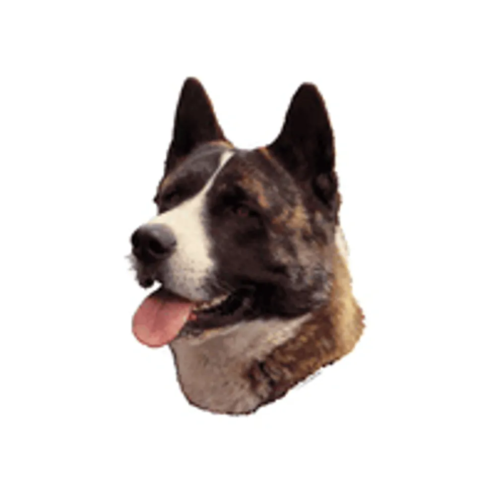 Dekal Akita