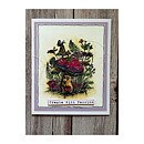Aall and Create Clear Stamps - Insectual Healing#1093 A6
