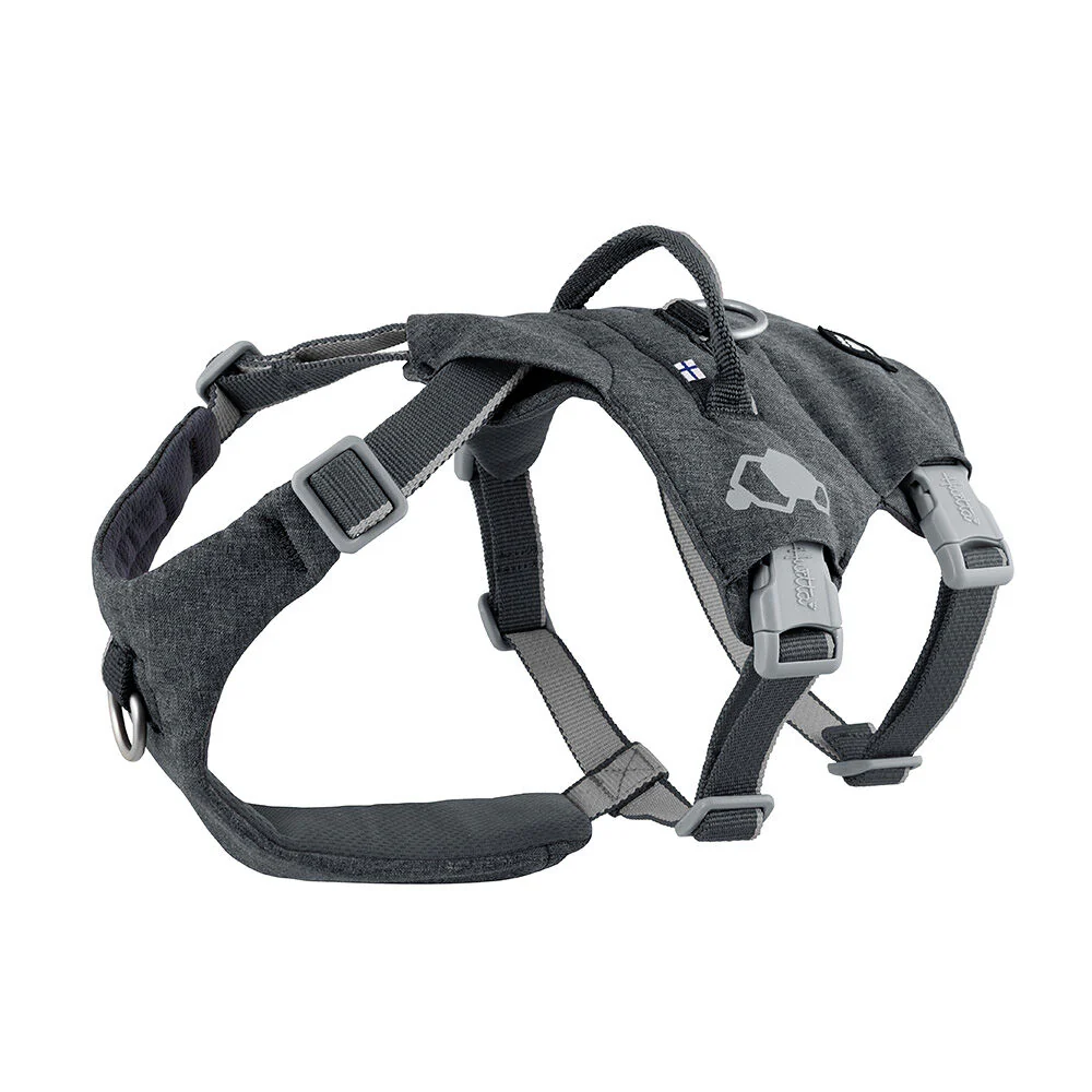 Hurtta Safeguard ECO Hundsele Blackberry