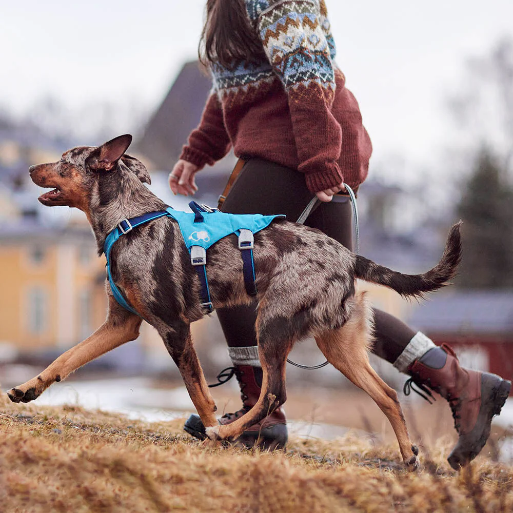 Hurtta Safeguard ECO Hundsele Blackberry - 3