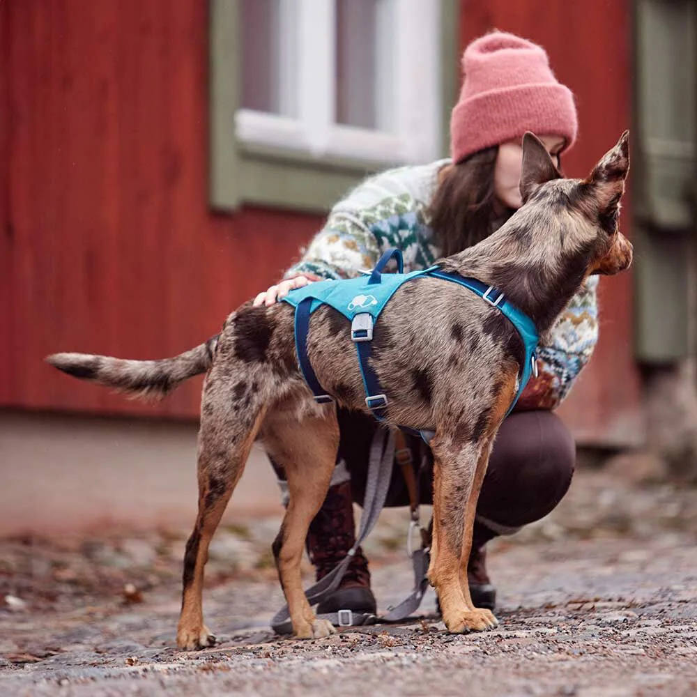 Hurtta Safeguard ECO Hundsele Blackberry - 10