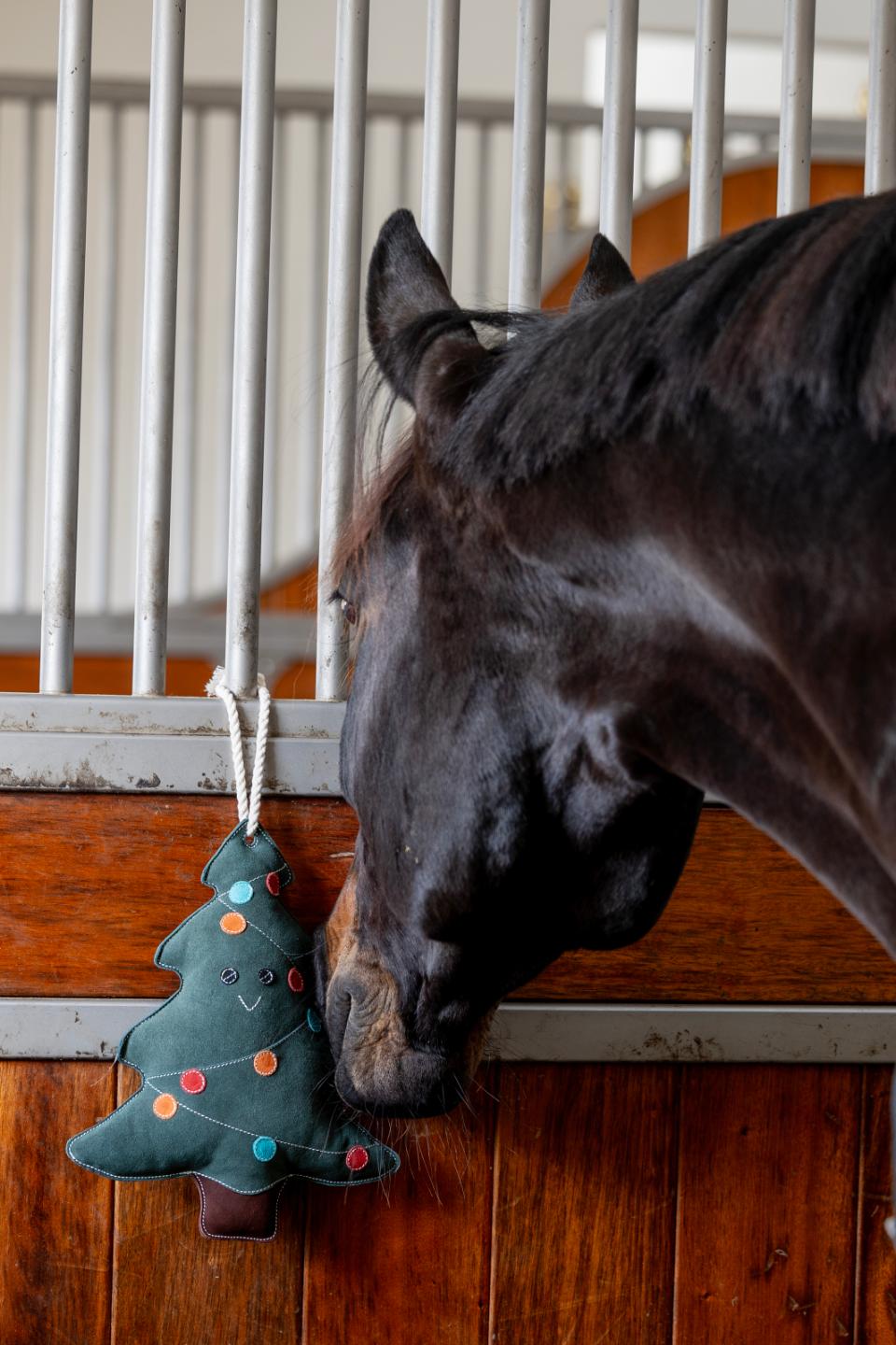 HG Juletre leke til hest - 2