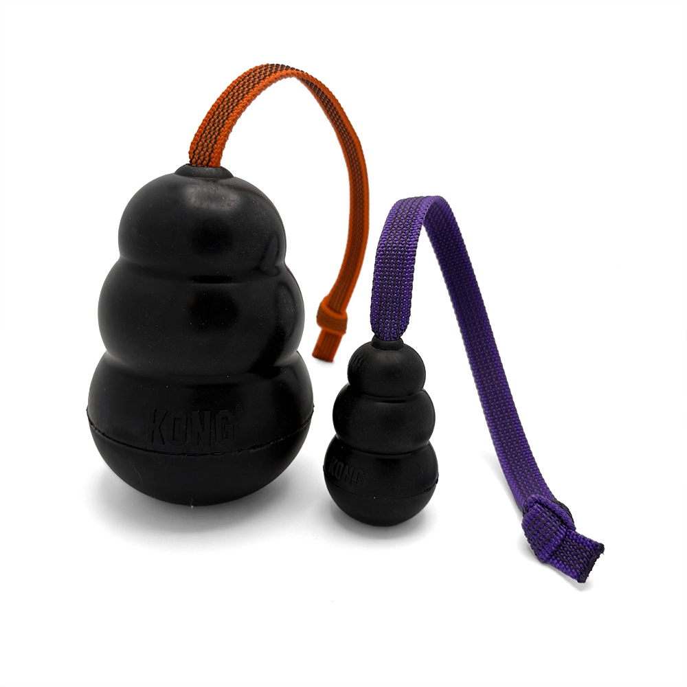 Kong Extreme dog toy with handle