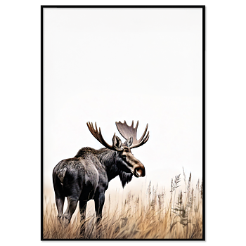 Älgtjur i gryningen Poster