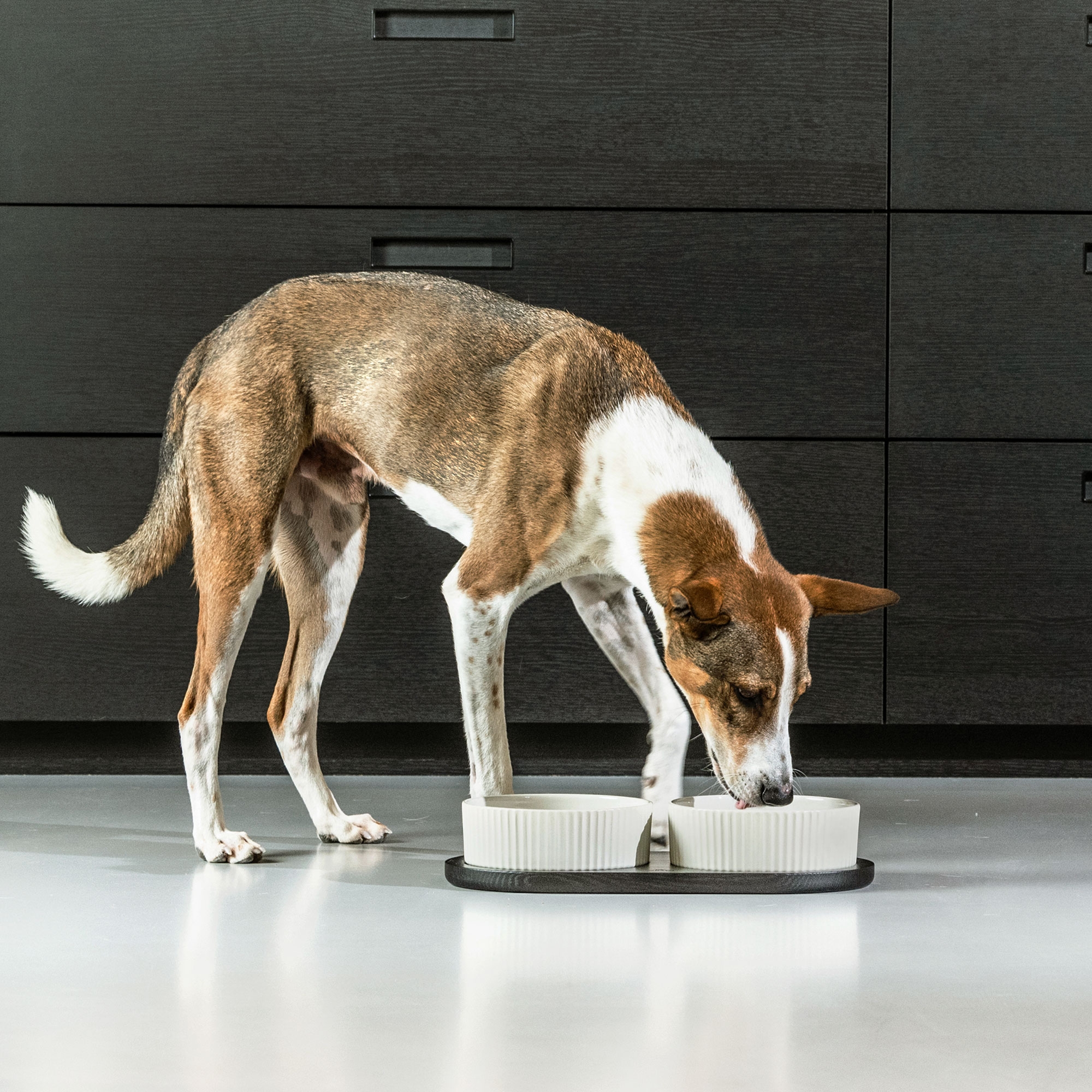 Dog Copenhagen Kronborg Food Bar - Off White/Black