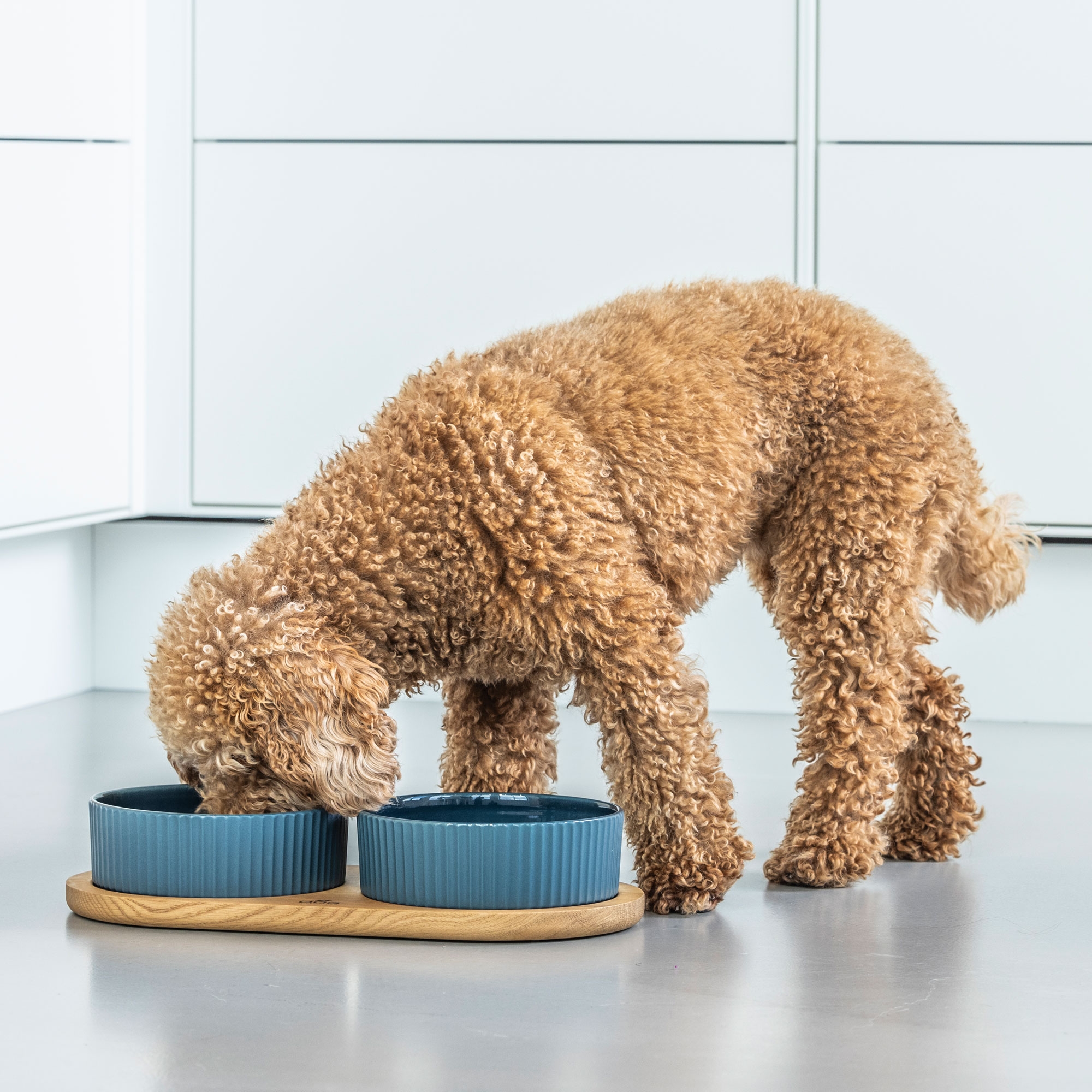 Dog Copenhagen Kronborg Food Bar - Petrol Blue/Oak - Elegant 