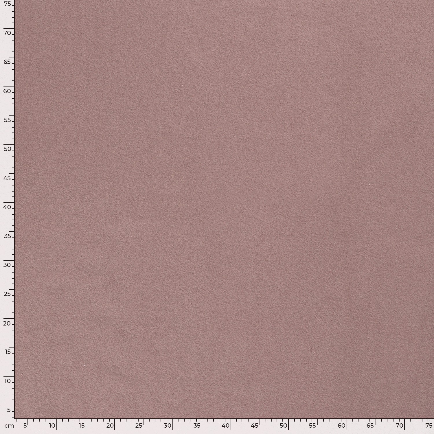 COTTON FLEECE - MAUVE - 5